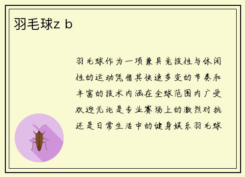 羽毛球z b
